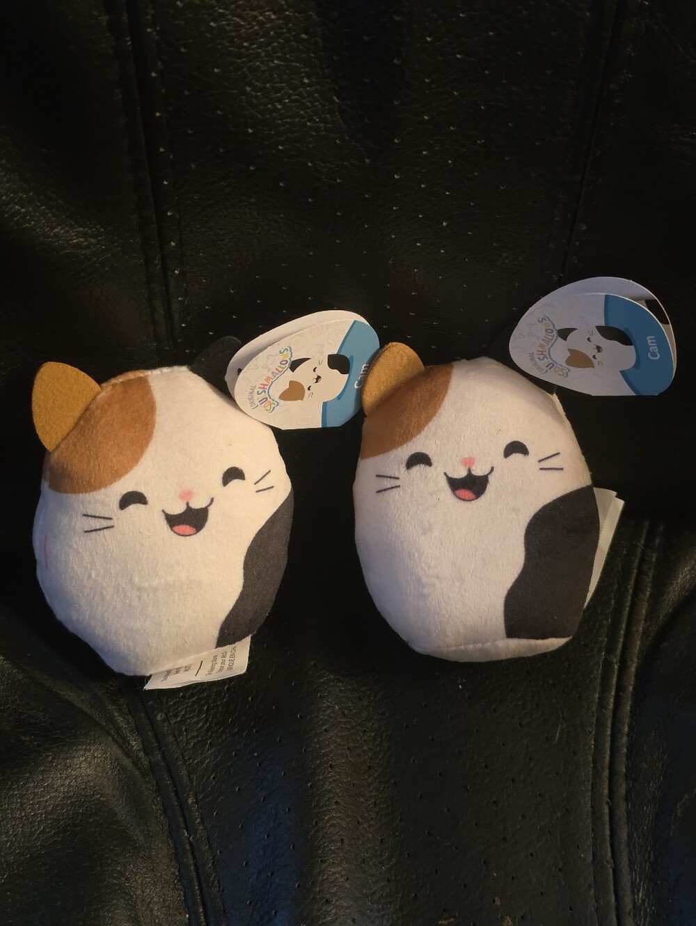 2025 McDonald's Squishmallow Toy Cam The Cat Plush Stuffed Lot Of 2